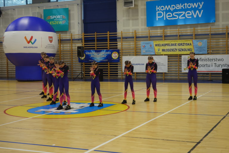 Aerobik Pleszew