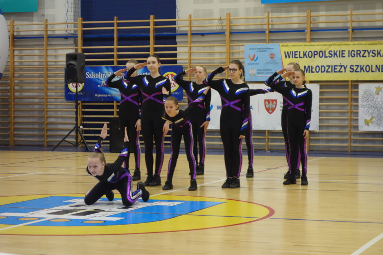 Aerobik Pleszew